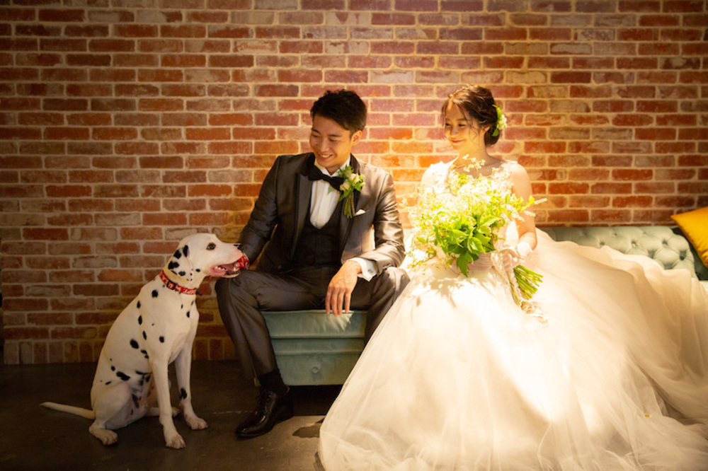 ペットと一緒にフォトウェディング 愛犬も大切な家族 Novel Shinsaibashi ノベル心斎橋 ウェディングサイト